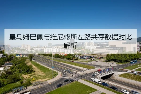huang-ma-mu-ba-pei-yu-wei-ni-xiu-si-zuo-lu-gong-cun-shu-ju-dui-bi-jie-xi-3-484.jpg