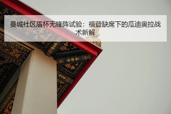 man-cheng-she-qu-dun-bei-wu-feng-zhen-shi-yan-fu-deng-que-xi-xia-de-gua-di-ao-la-zhan-shu-xin-jie-2-447.jpg