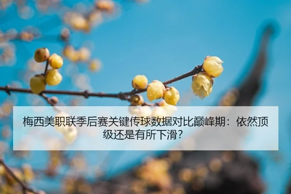 mei-xi-mei-zhi-lian-ji-hou-sai-guan-jian-chuan-qiu-shu-ju-dui-bi-dian-feng-qi-yi-ran-ding-ji-hai-shi-you-suo-xia-hua-2-678.jpg