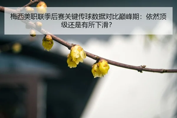 mei-xi-mei-zhi-lian-ji-hou-sai-guan-jian-chuan-qiu-shu-ju-dui-bi-dian-feng-qi-yi-ran-ding-ji-hai-shi-you-suo-xia-hua-3-800.jpg