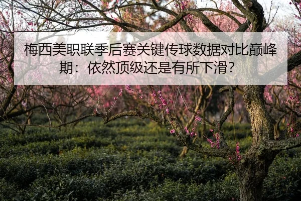 梅西美职联季后赛关键传球数据对比巅峰期：依然顶级还是有所下滑？