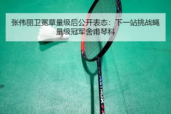 张伟丽卫冕草量级后公开表态：下一站挑战蝇量级冠军舍甫琴科
