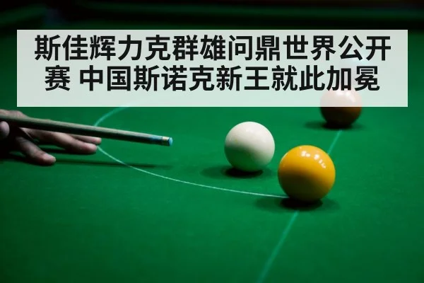 斯佳辉力克群雄问鼎世界公开赛 中国斯诺克新王就此加冕