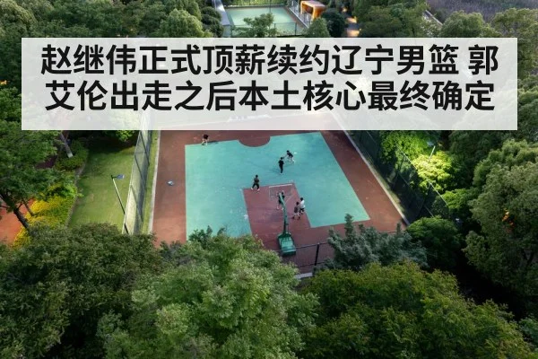 Chinese basketball player